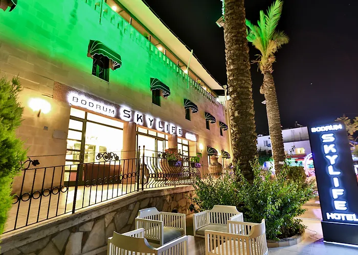 Skylife Hotel 4*